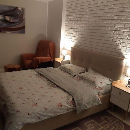 Apart Eric Apartment Calafat Room photo